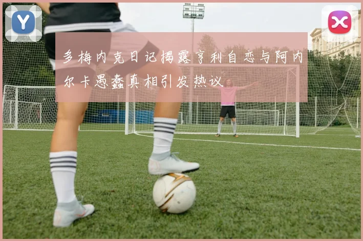 多梅内克日记揭露亨利自恋与阿内尔卡愚蠢真相引发热议