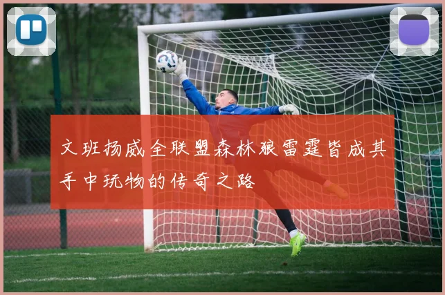 文班扬威全联盟森林狼雷霆皆成其手中玩物的传奇之路