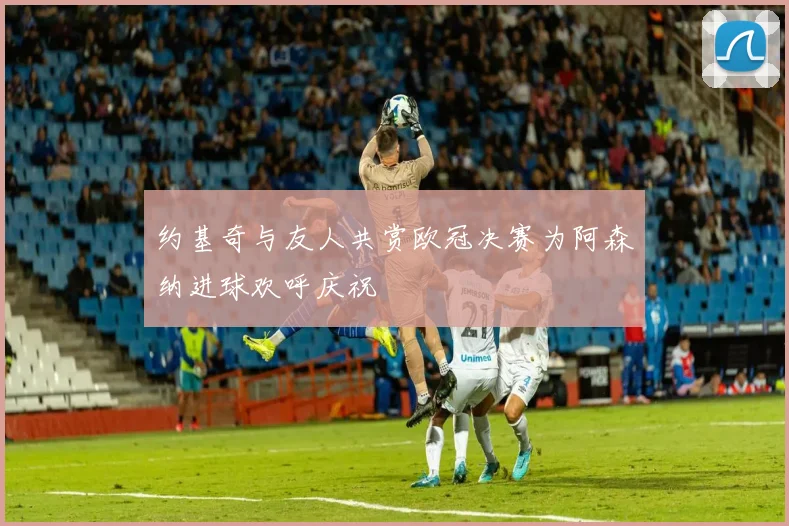约基奇与友人共赏欧冠决赛为阿森纳进球欢呼庆祝