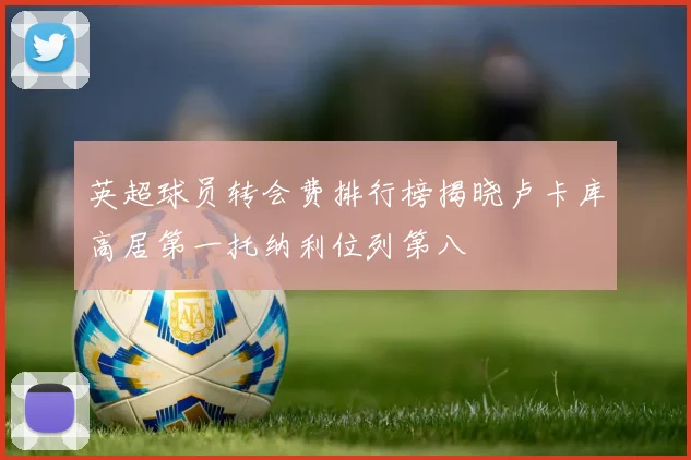 英超球员转会费排行榜揭晓卢卡库高居第一托纳利位列第八